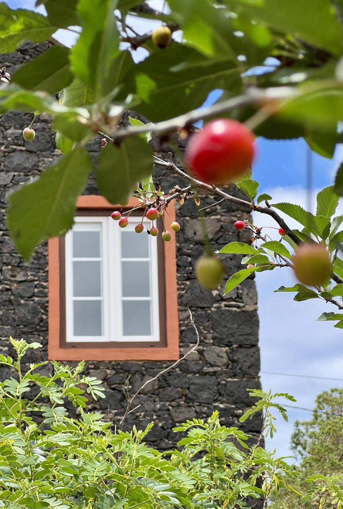 Cozy Rural House Las Guindas, El Hierro Erese Εξωτερικό φωτογραφία
