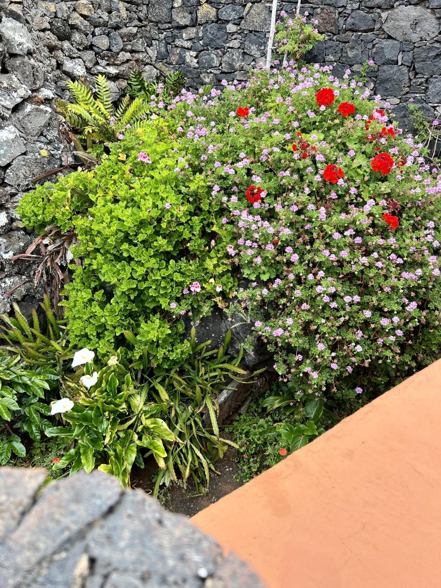 Cozy Rural House Las Guindas, El Hierro Erese Εξωτερικό φωτογραφία