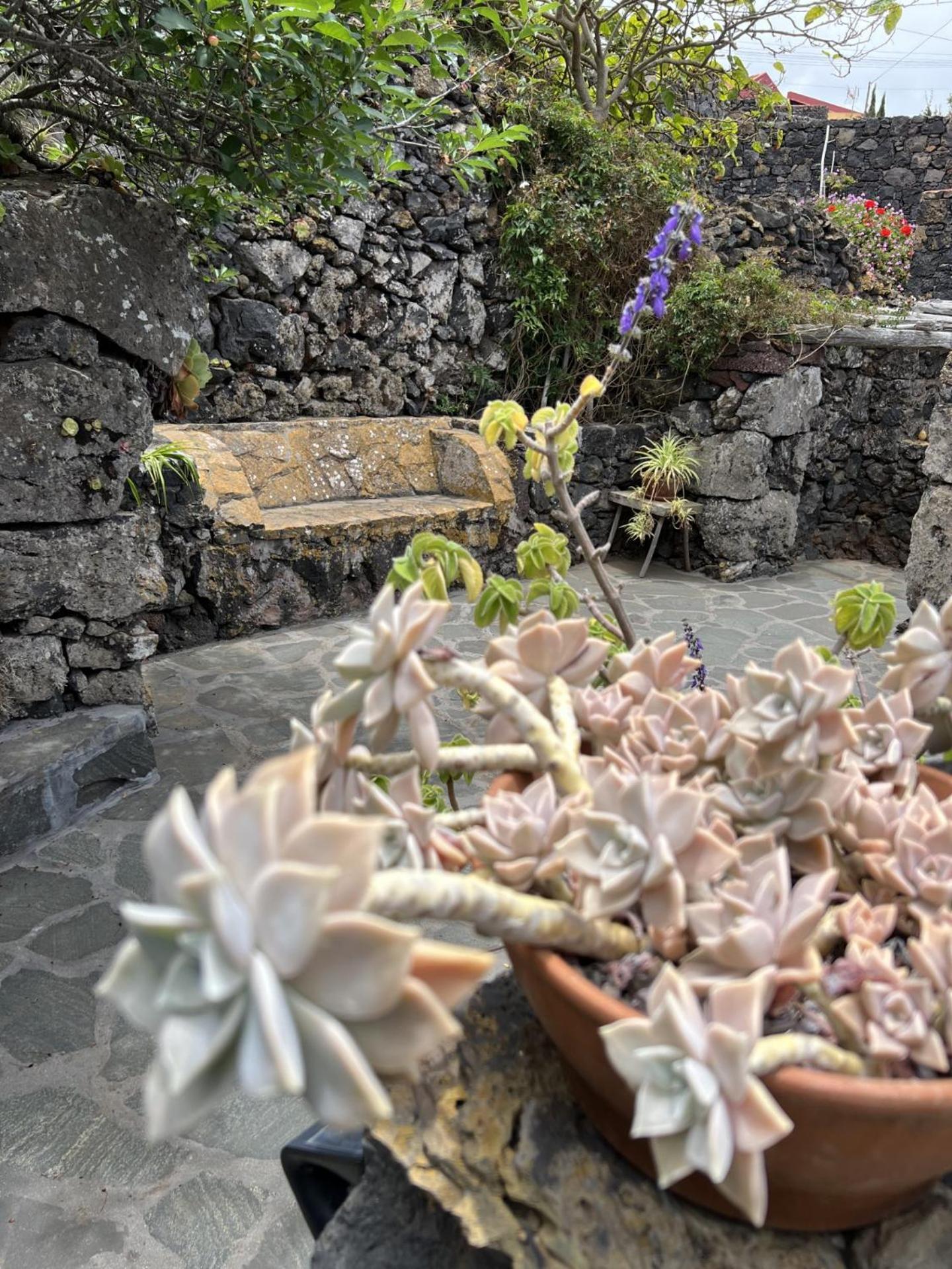 Cozy Rural House Las Guindas, El Hierro Erese Εξωτερικό φωτογραφία